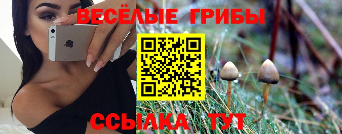 Тольятти  Галлюциногенные грибы прущие грибы  Вход с VPN 